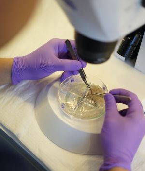 what is IVF treatment UK explained simply - Medical Consultations Online - MCO